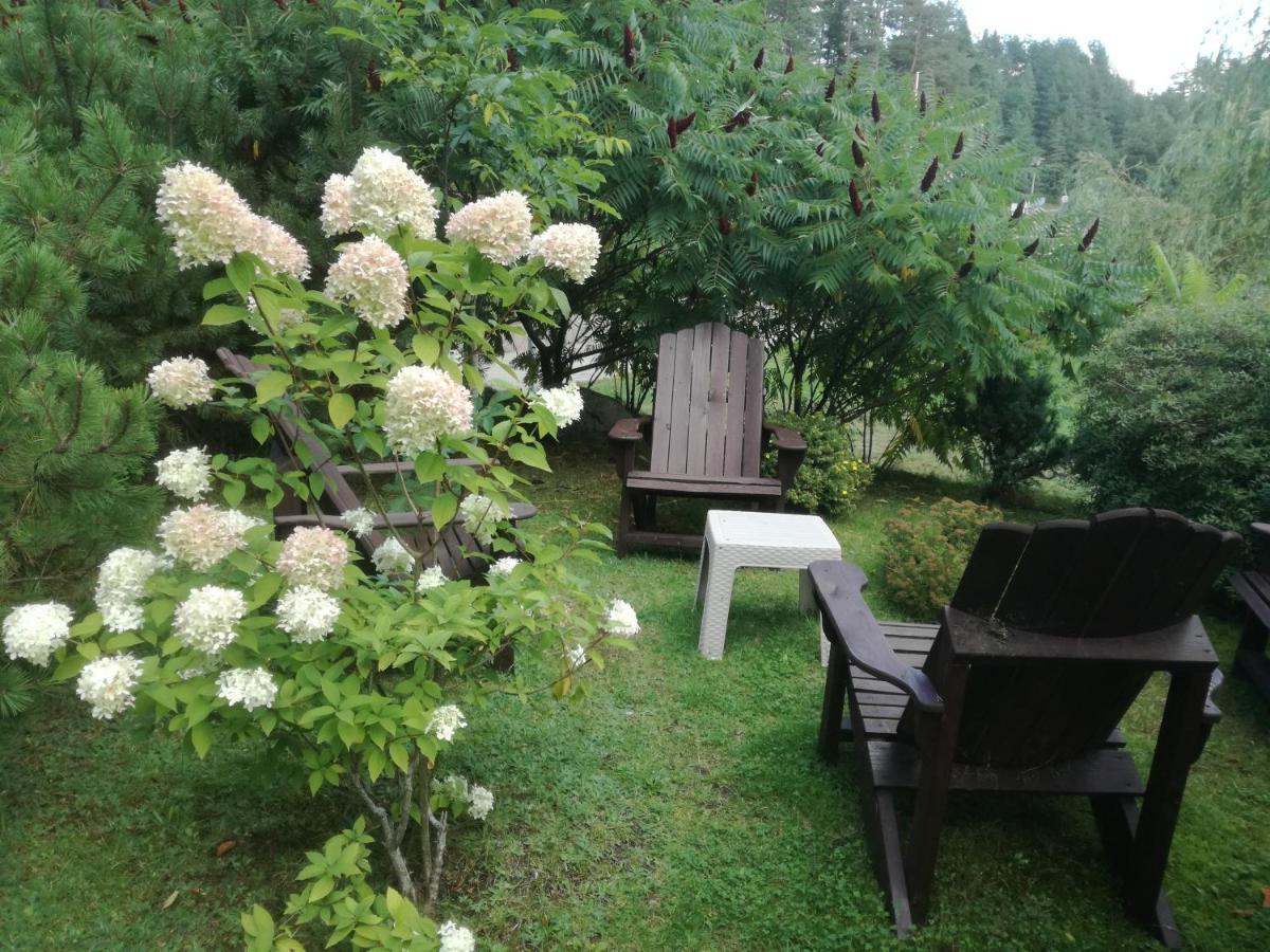 Sveciu Namai Aldaivita Ignalina Buitenkant foto