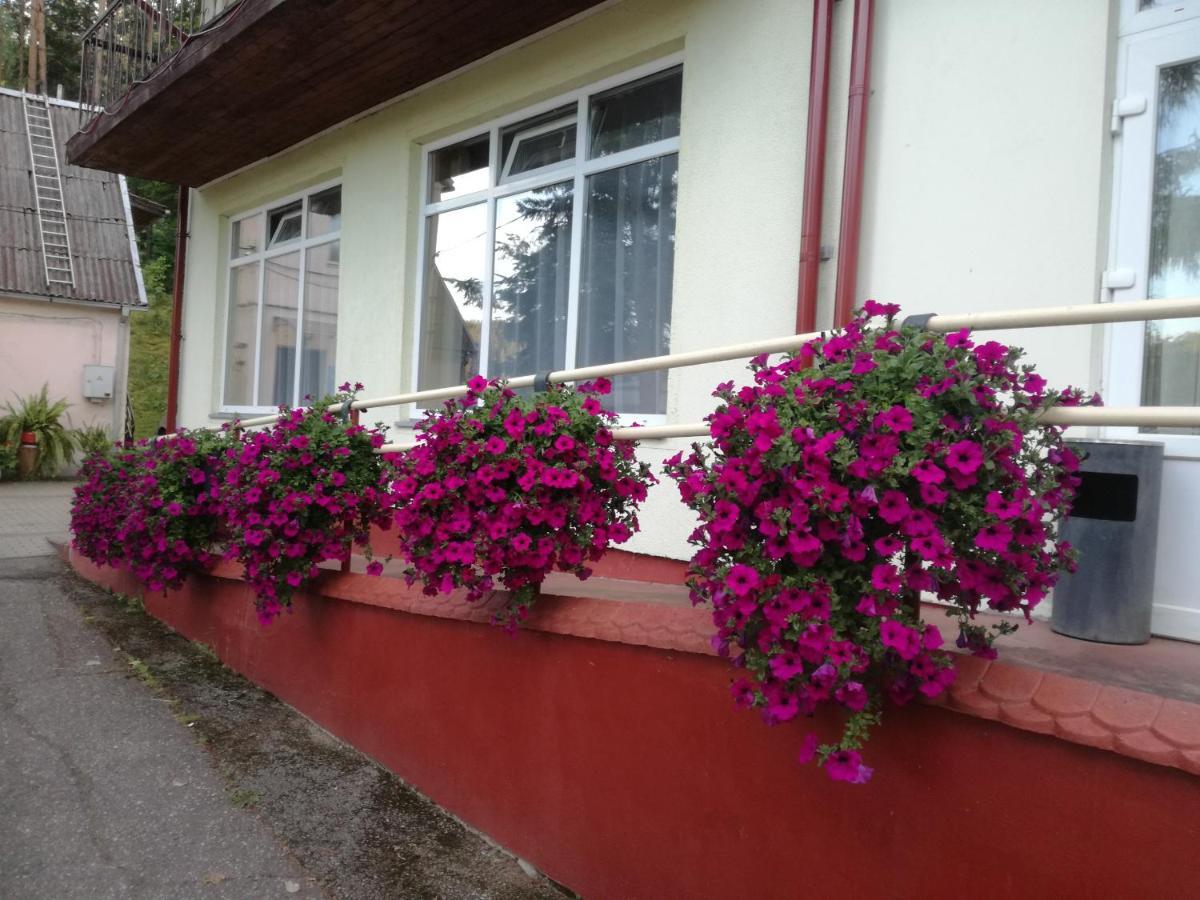 Sveciu Namai Aldaivita Ignalina Buitenkant foto